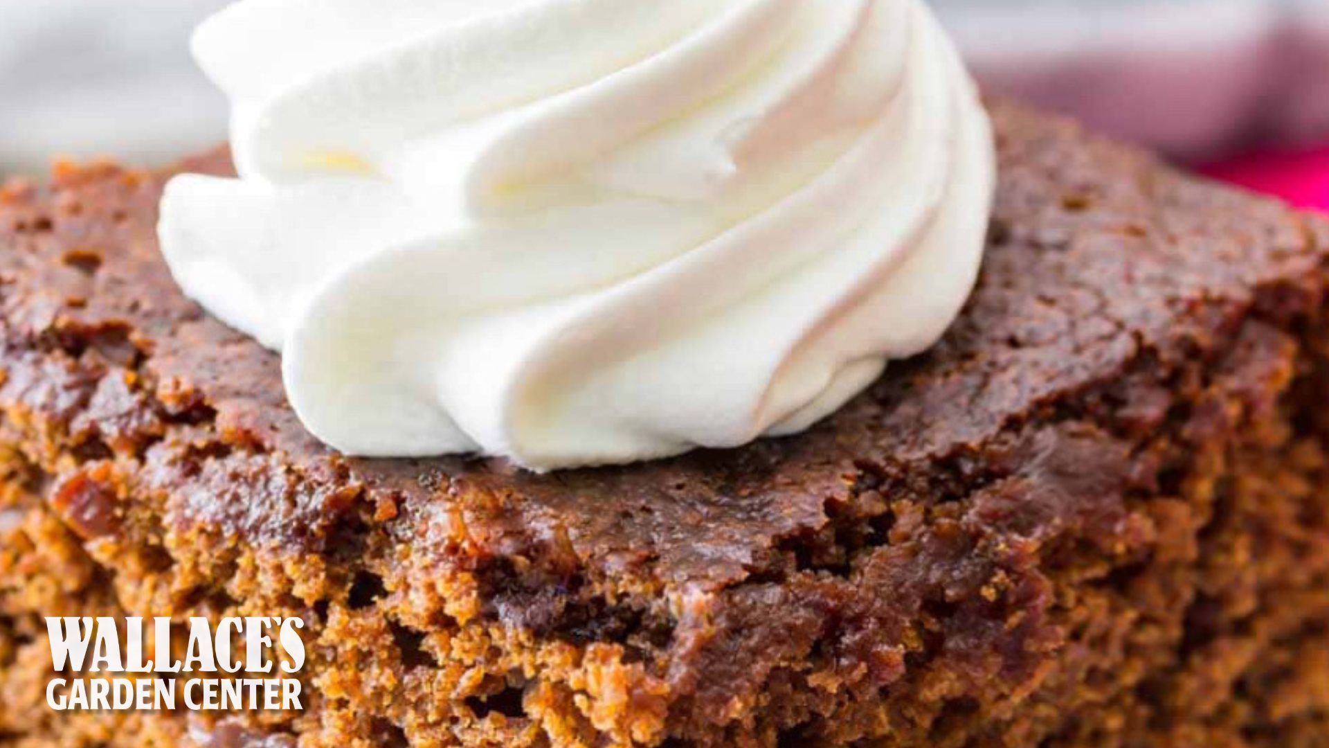 Easy Gingerbread Snack Cake