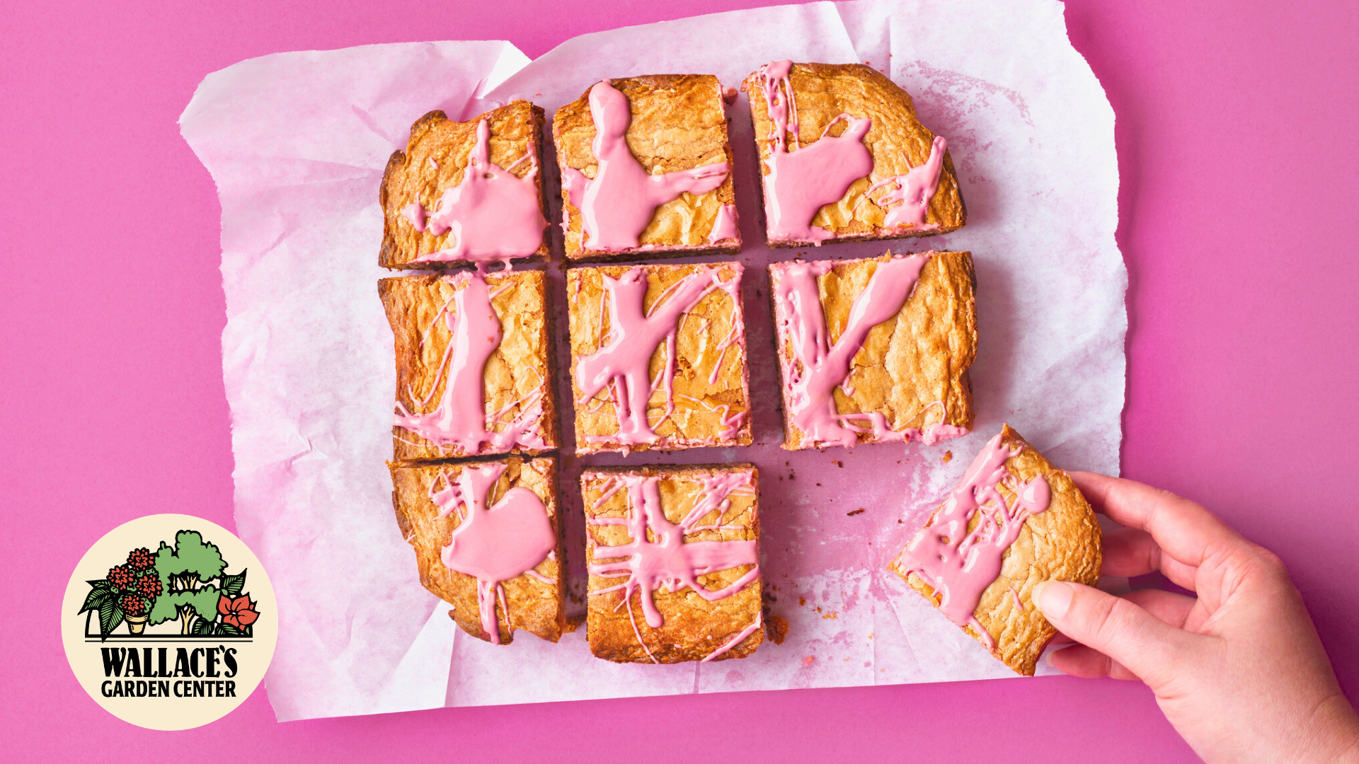 Raspberry Lemonade Blondies