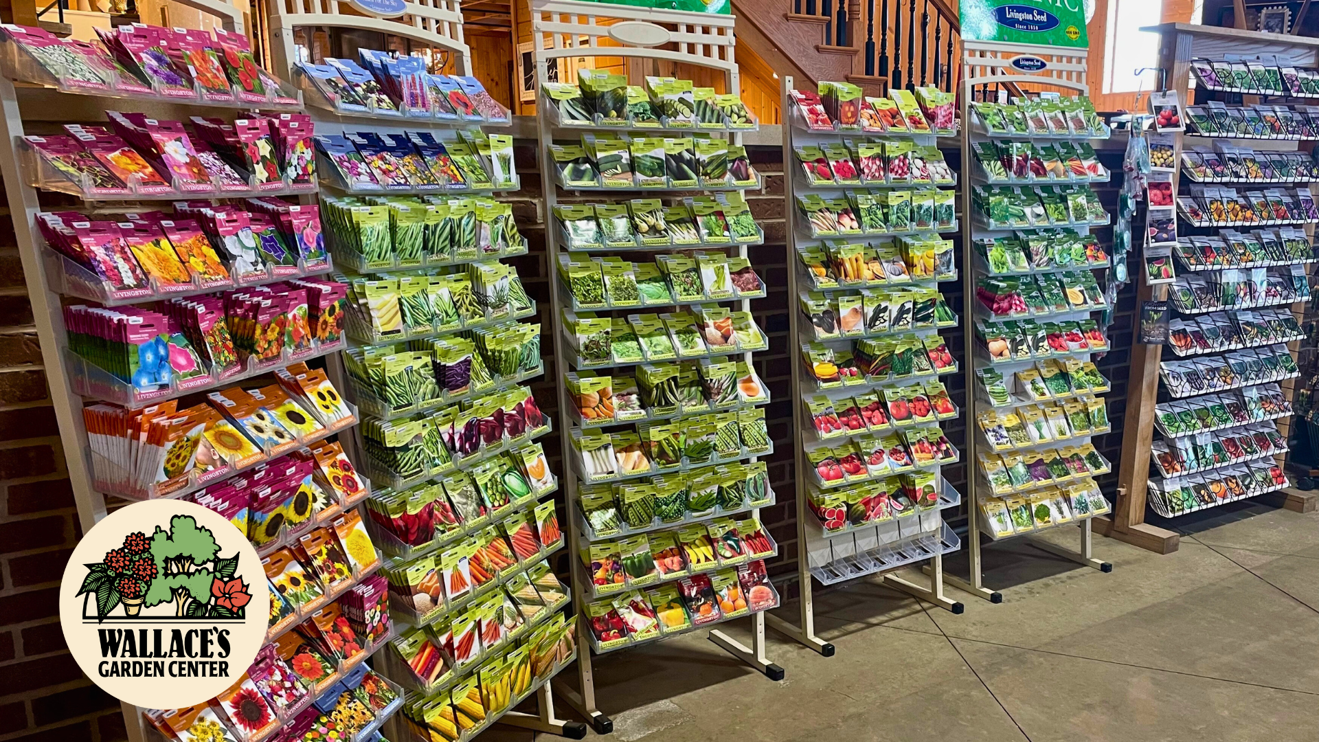 Seed Starting at a Glance: Bettendorf Edition