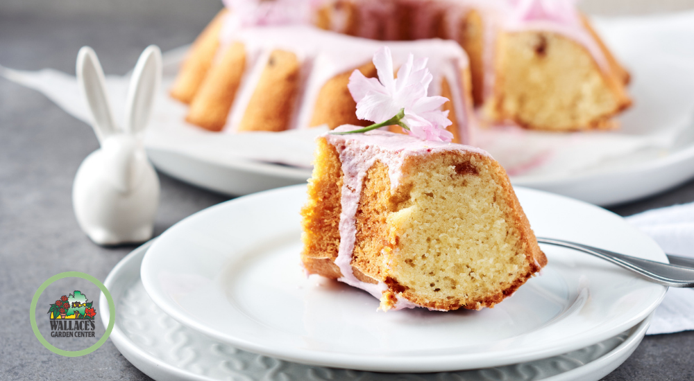 Very Berry Lemonade Pound Cake