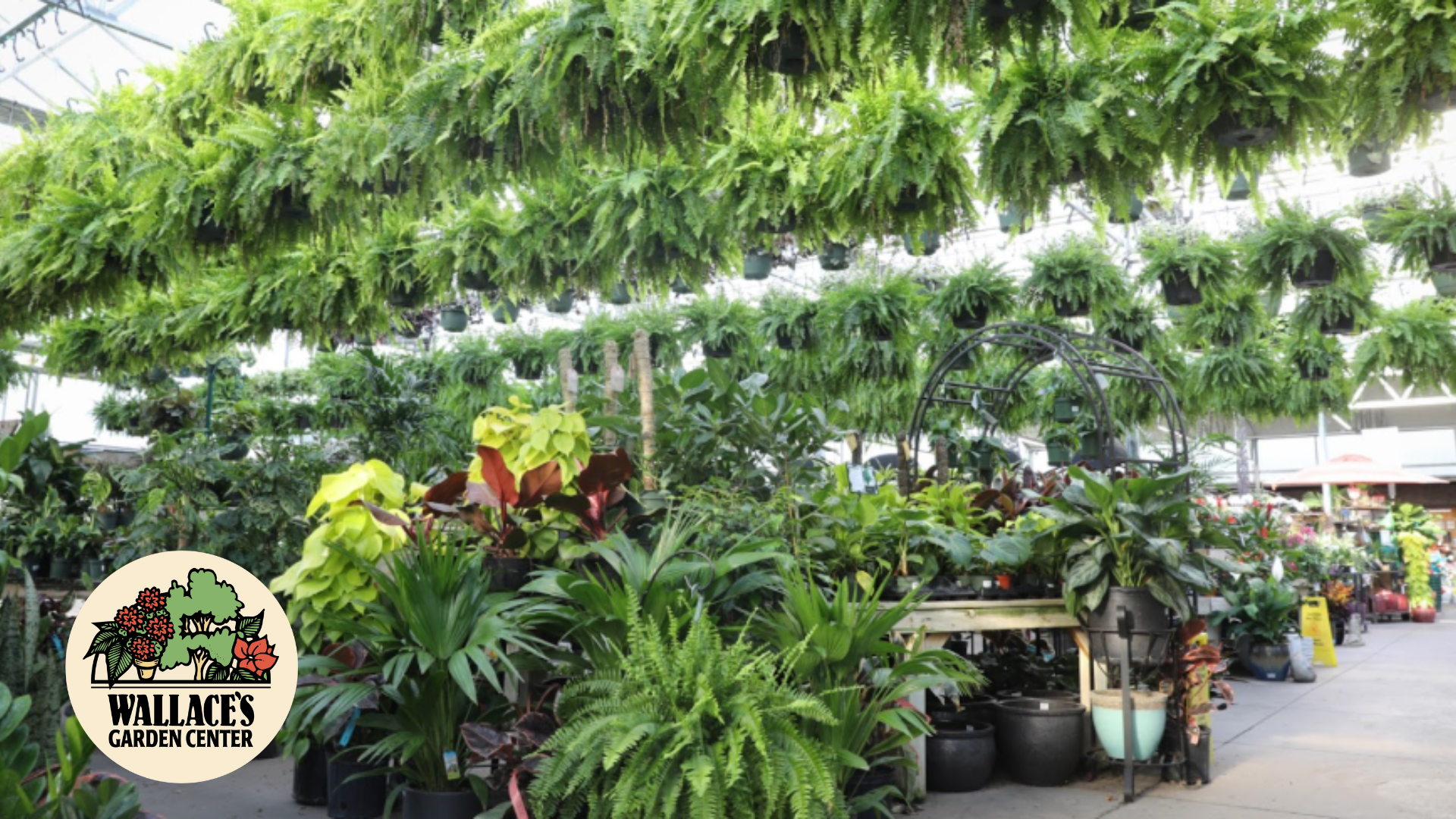 Warm Up Your Winter at the Garden Center