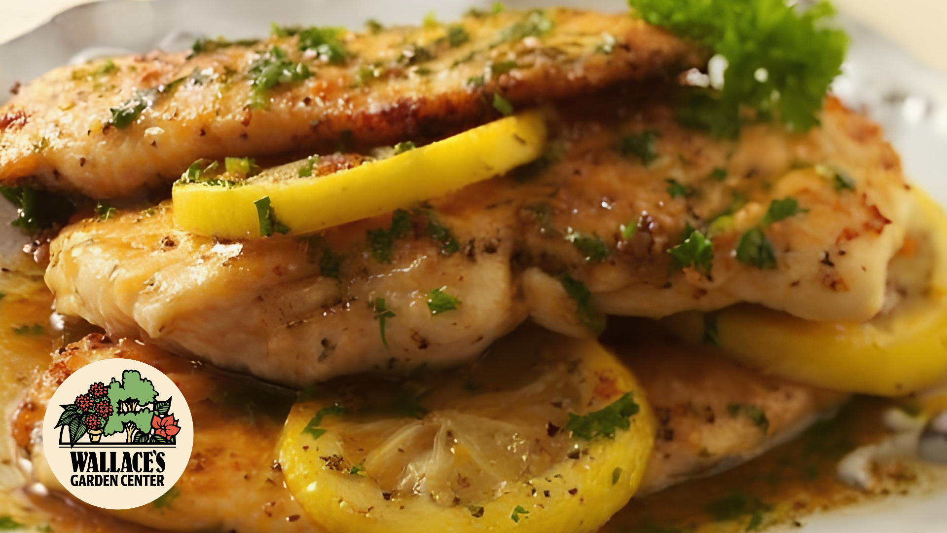 Wallaces Garden Center-Bettendorf-Lemon Chicken Picatta recipe
