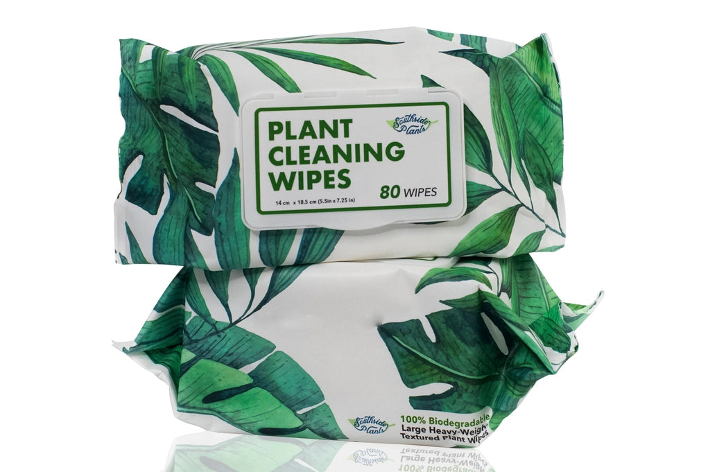 Southside Plants - Plant Cleaning Wipes - Wallace Garden Center