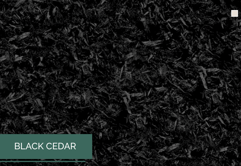 Premium Cedar Dyed Black - Wallace Garden Center