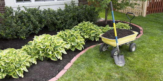 5 Easy Ways to Winterize Your Garden Before the Snow Flies wallacegardencenter