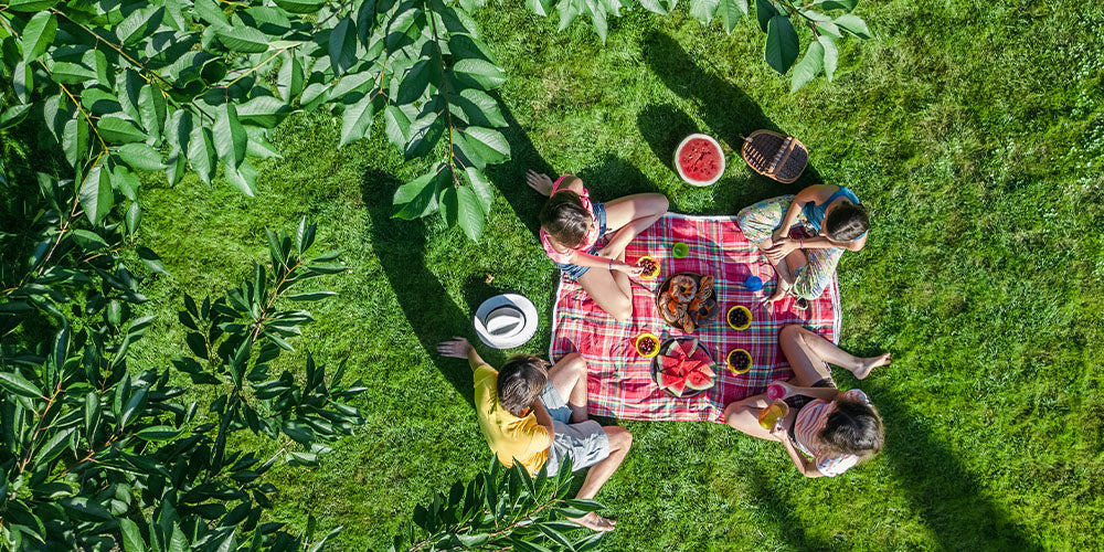 6 Summer Picnic Ideas for Happy Snacking in the Sun wallacegardencenter