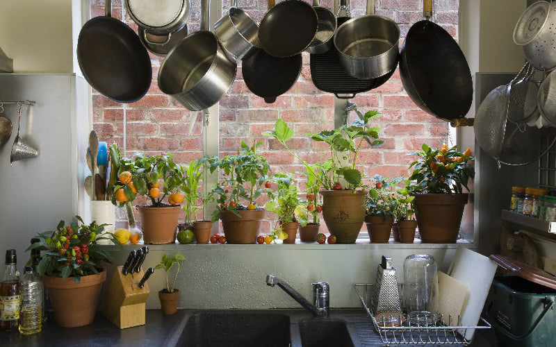 A Beginner’s Guide to Kitchen Gardening wallacegardencenter