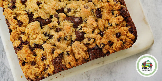 Cookie Dough Brownies wallacegardencenter