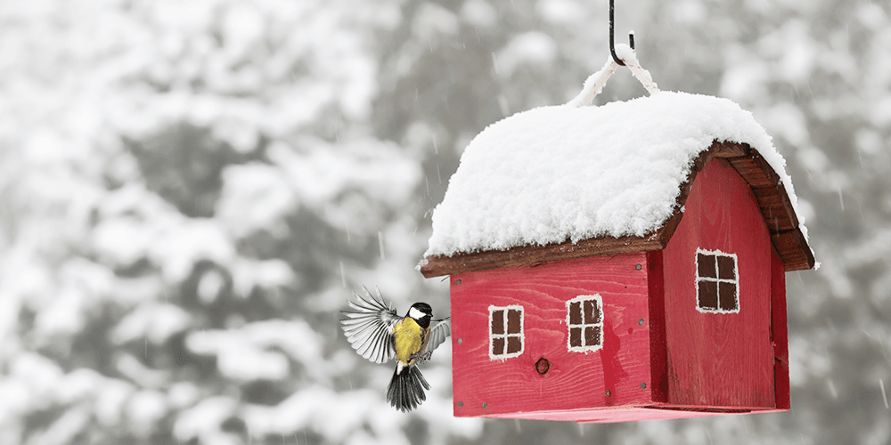 DIY Birdhouses for the Winter Garden wallacegardencenter