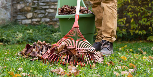 Guide to Fall Lawn Care in Bettendorf wallacegardencenter