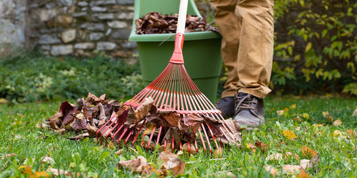 Guide to Fall Lawn Care in Bettendorf - Wallace's Garden Center