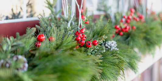 Holiday Window Boxes: Creating Christmas Magic as Far as the Eye Can See wallacegardencenter