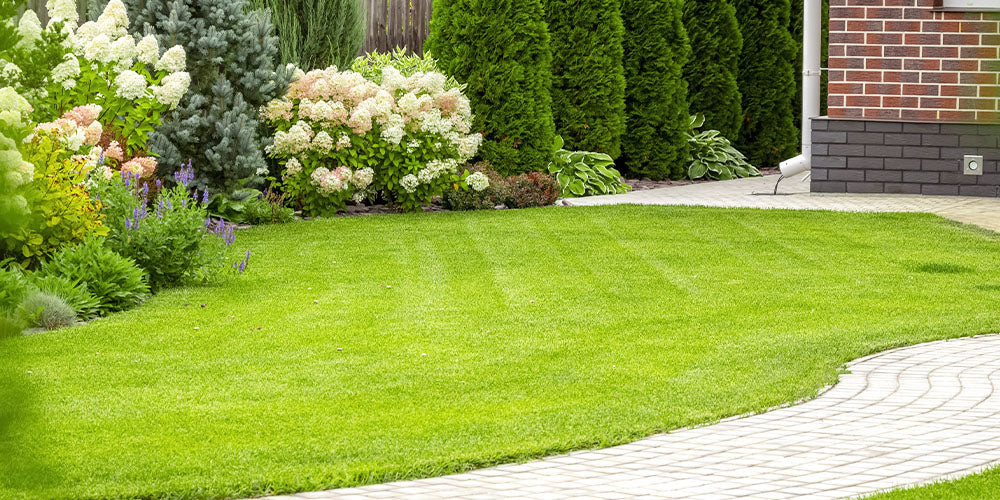 How and When to Aerate Your Lawn wallacegardencenter