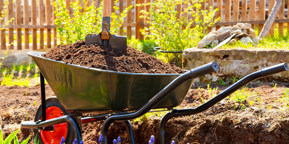 How to Build Healthier Soil wallacegardencenter