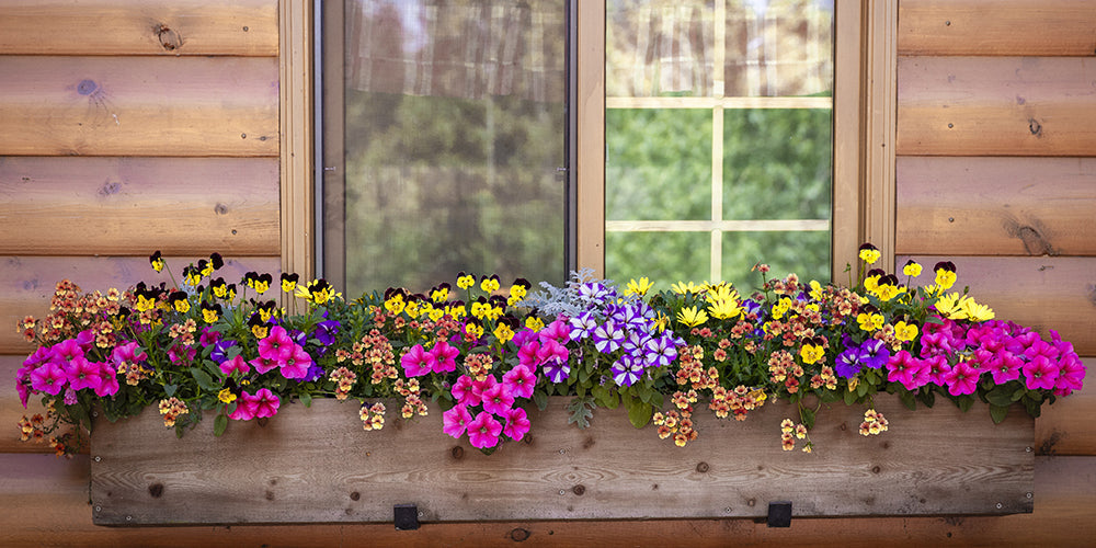 How to Keep Your Planters Looking Fresh in Summer wallacegardencenter