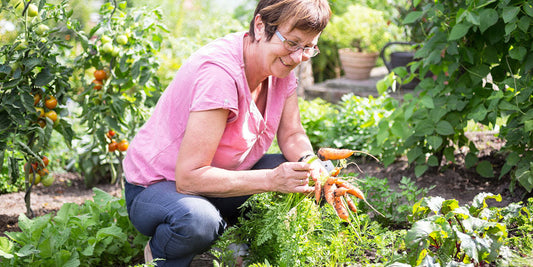 Ideas for Designing a Vegetable Garden Layout wallacegardencenter