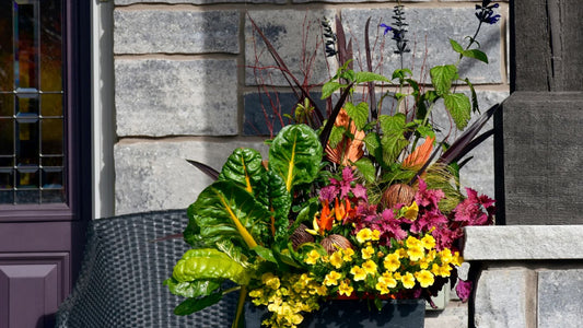 Refreshing Your Summer Containers for a Vibrant Fall wallacegardencenter