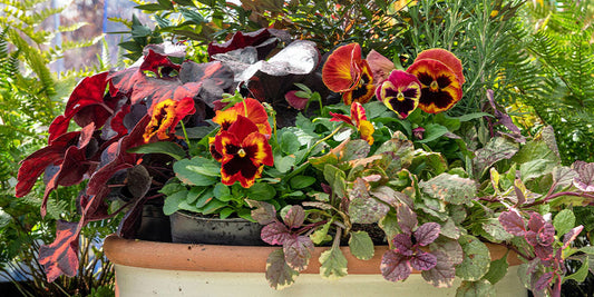 The Ultimate Fall Porch Pot wallacegardencenter