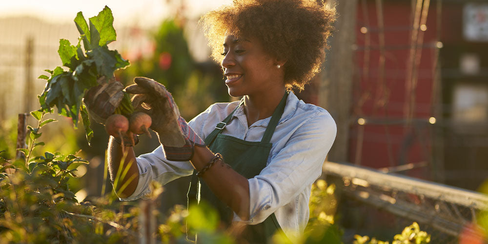 Tips for Starting Your 2023 Gardening Season off Right wallacegardencenter