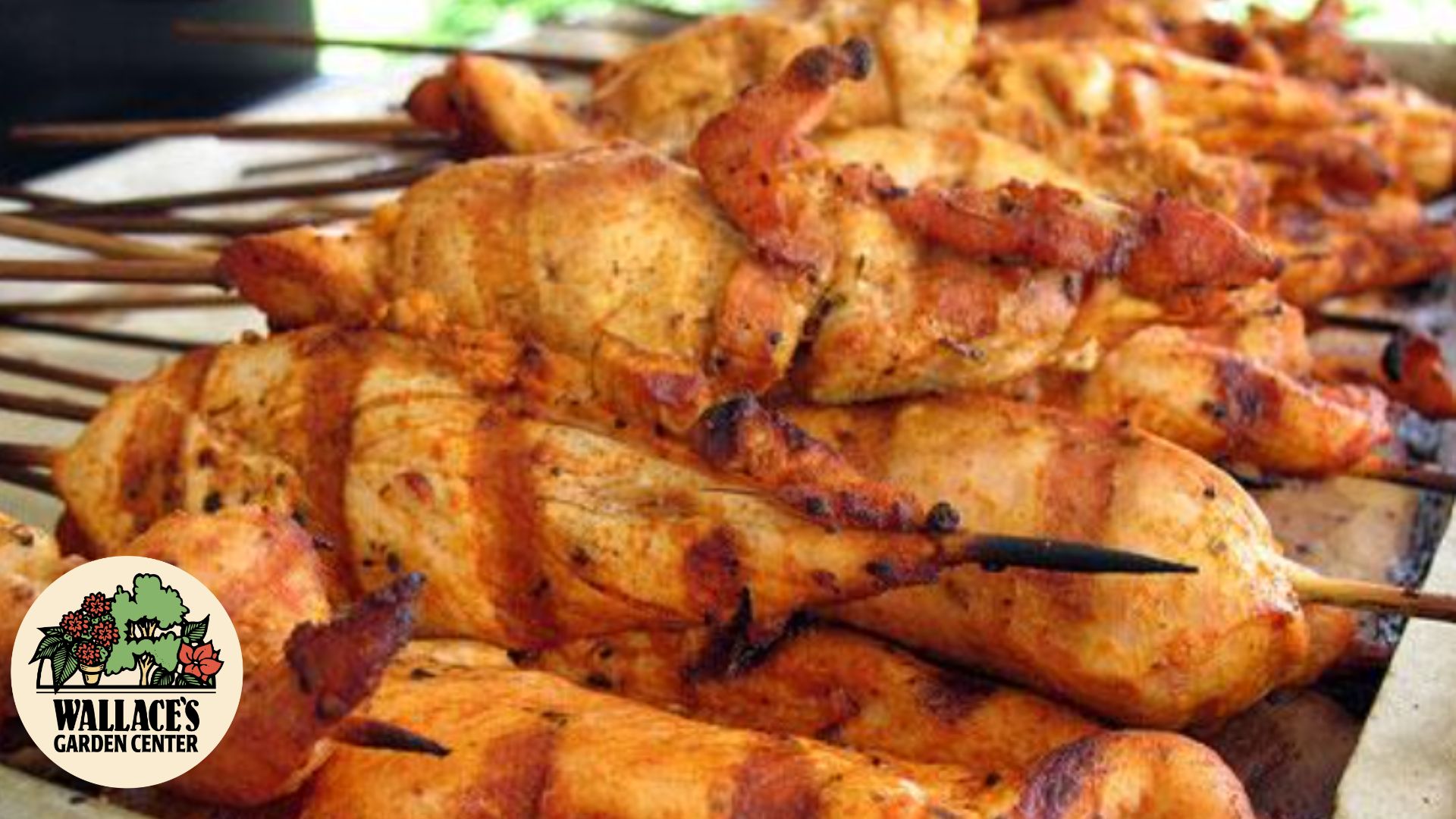 Wallaces Garden Center Bettendorf Iowa - Chicken Skewers Recipe