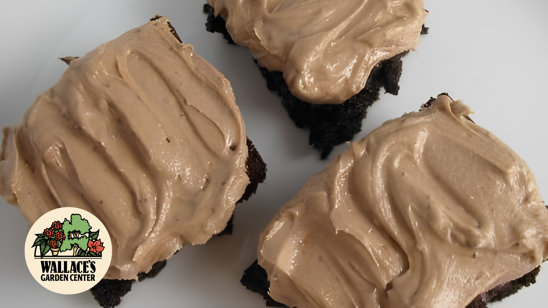 Wallaces Garden Center-Bettendorf-Brownies with Cappuccino Frosting recipe