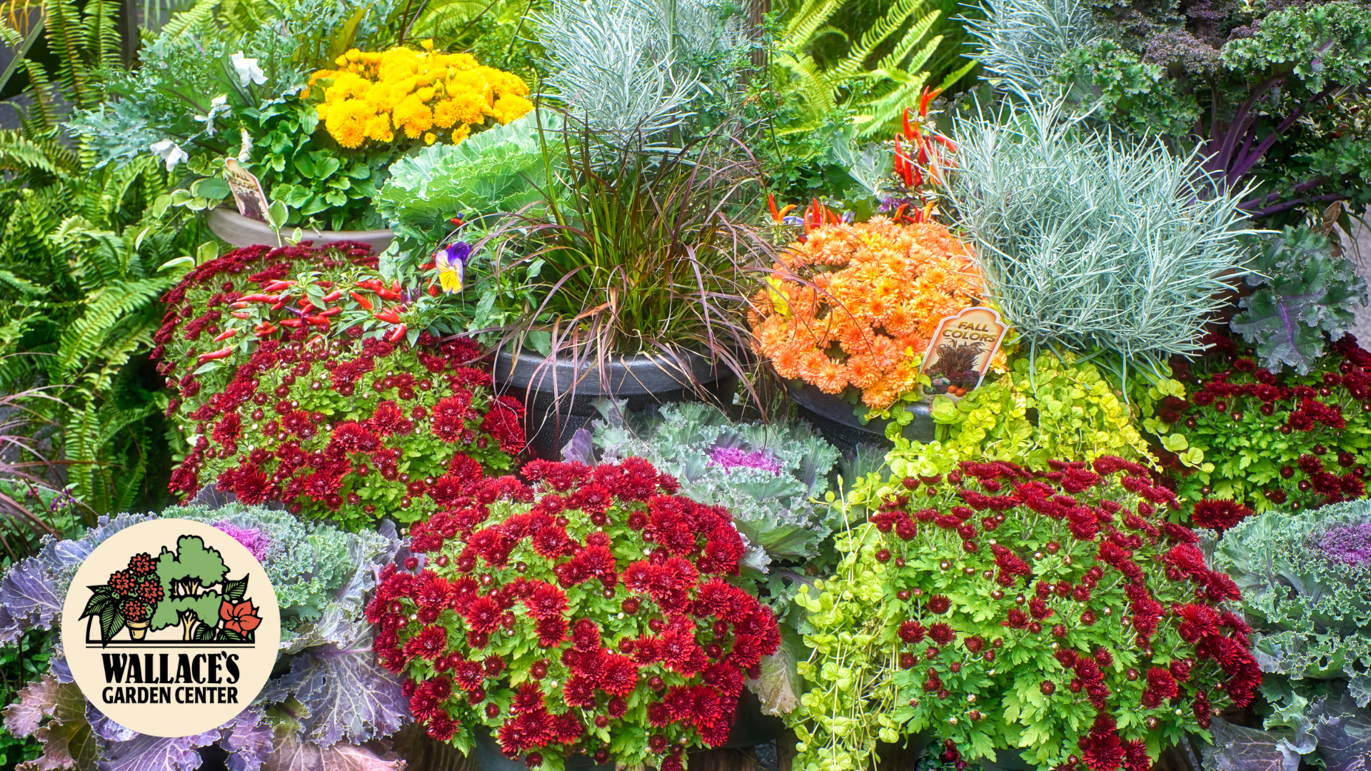 Wallaces Garden Center-Bettendorf-Iowa-A Calm Guide to Cooler Nights in the Fall Garden-Hero