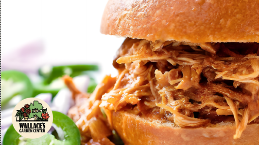 Bourbon Bacon Pulled Chicken