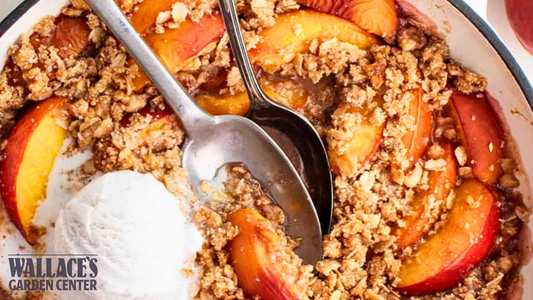 Bourbon Peach Crisp