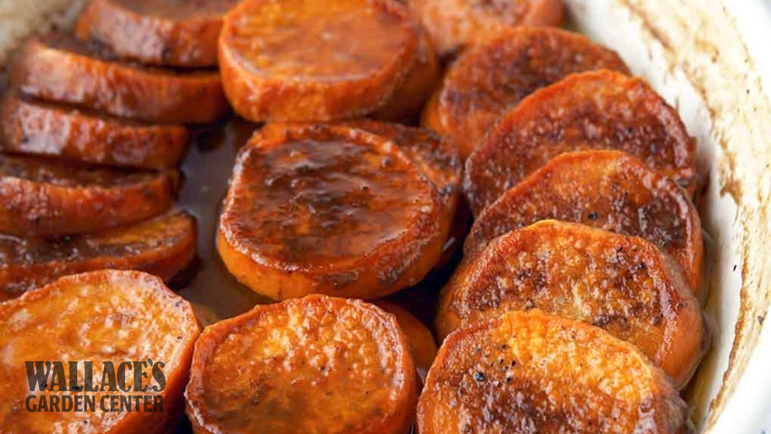 Bourbon Sweet Potatoes