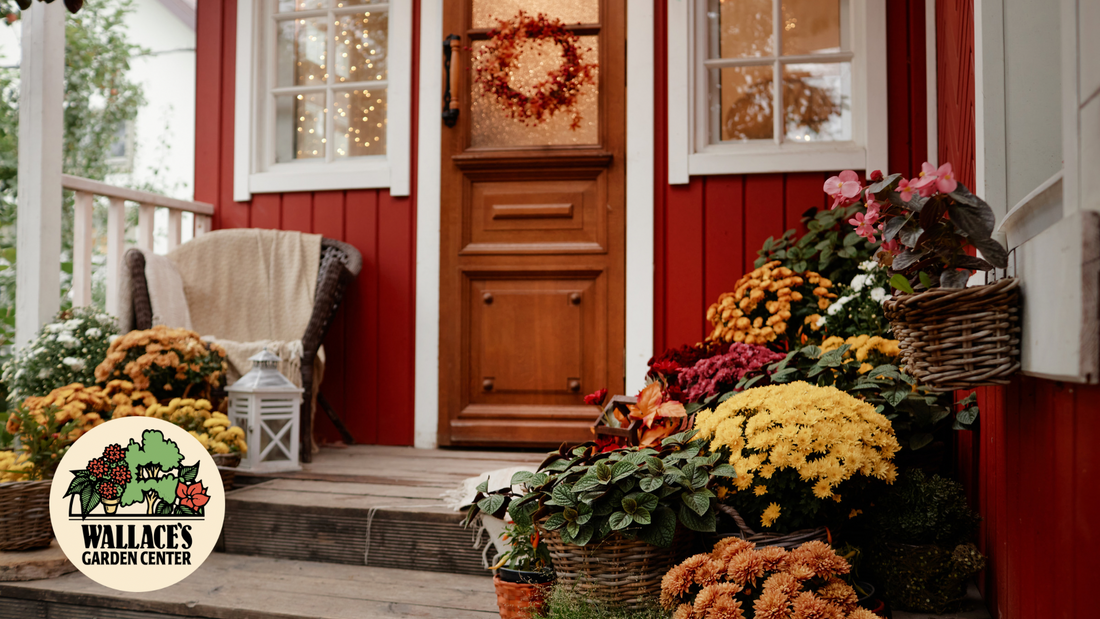 Wallaces Garden Center-Bettendorf-Iowa-Cozy Front Entry Ideas for October Curb Appeal-Hero