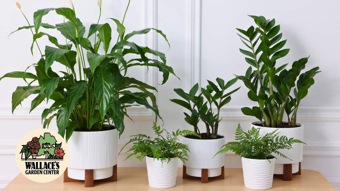 Small Changes, Big Impact: Decorating with Pottery Indoors & Out