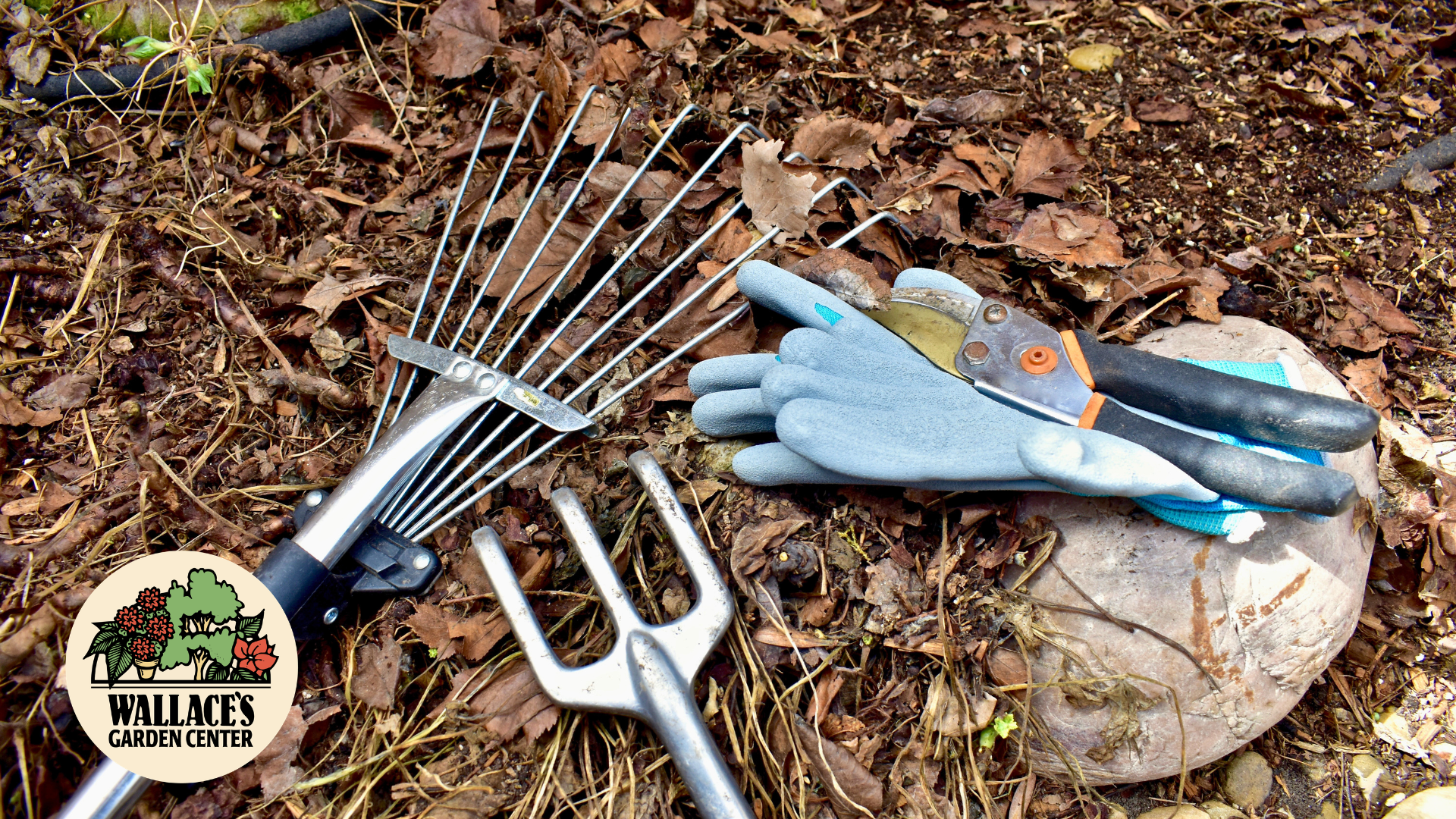 Five Small Garden Wins You Can Have This Month