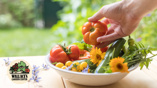 Wallaces Garden Center-Bettendorf-Iowa-From Garden to Kitchen-Fresh Ideas for Tomatoes, Zucchini, and Herbs-Hero