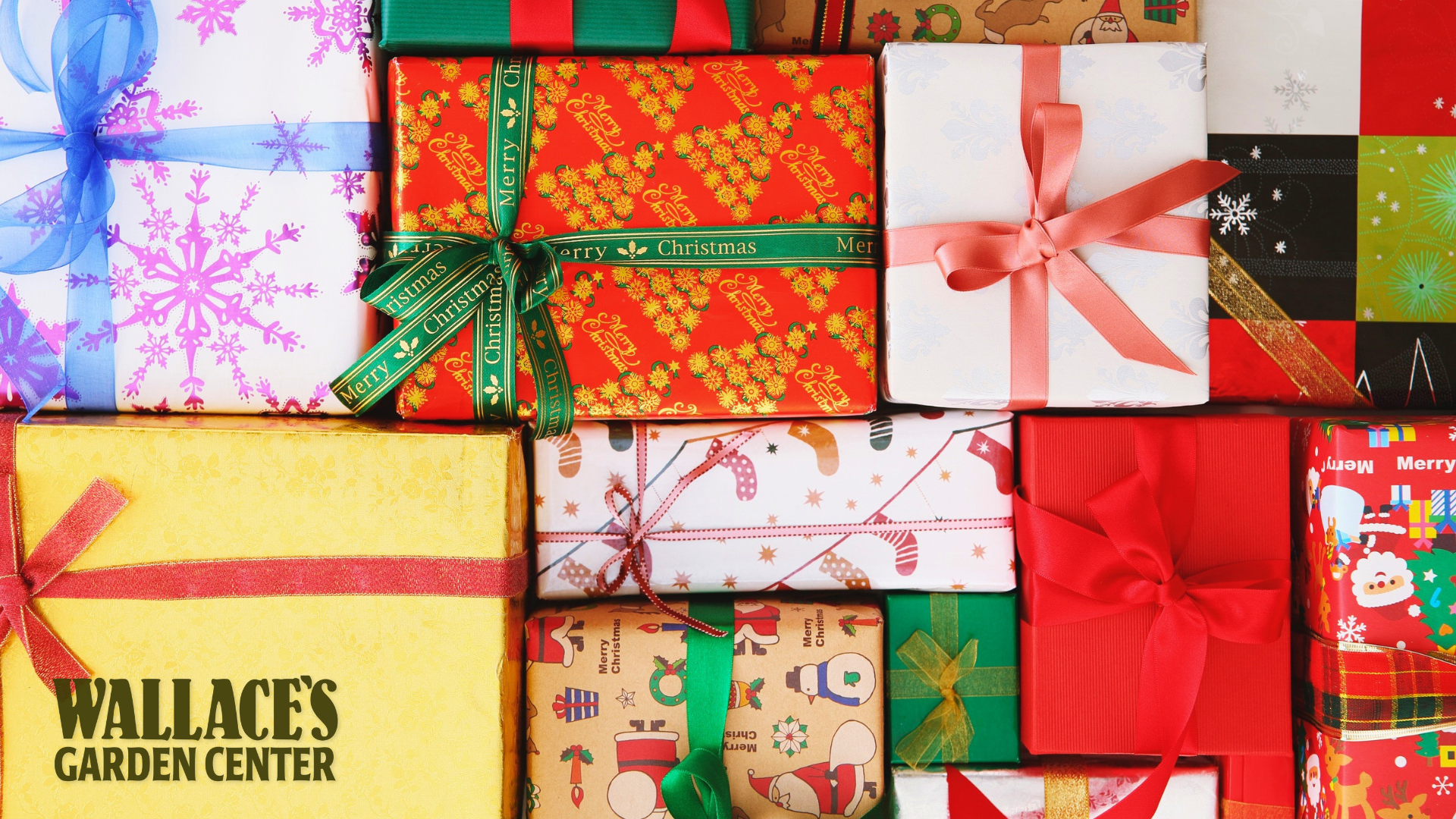 Wallace’s 2025 Gift Guide for Green Thumbs