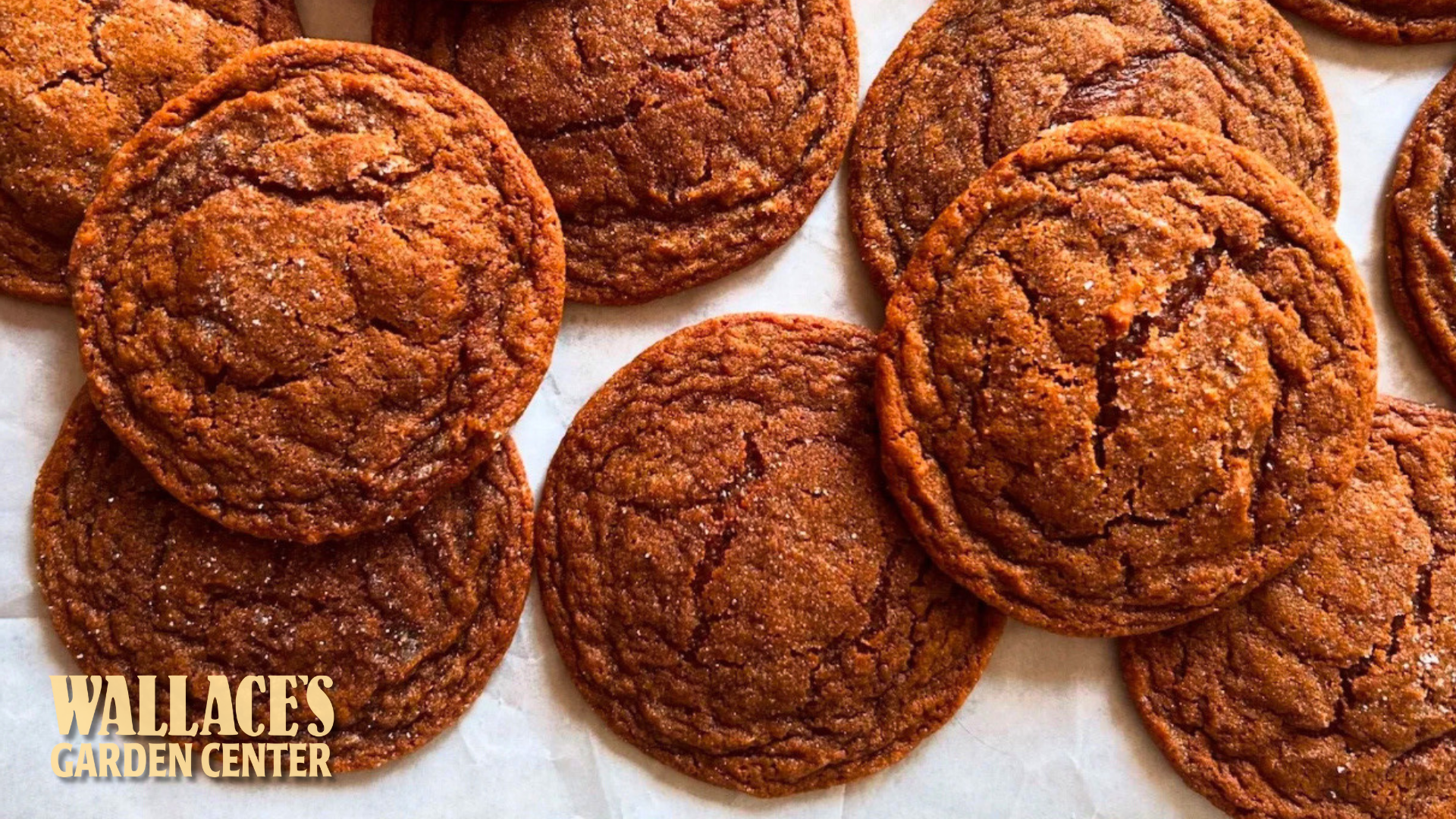 Ginger Molasses Cookies