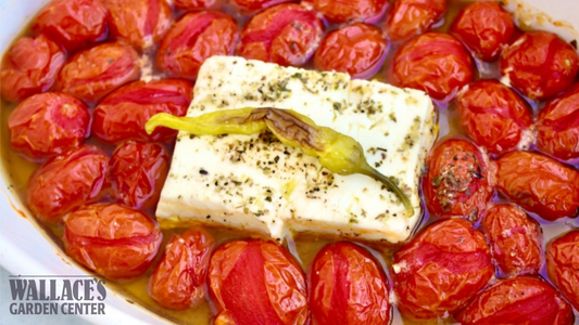 Roasted Tomatoes With Feta