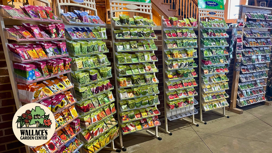 Seed Starting at a Glance: Bettendorf Edition