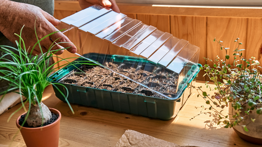 Wallace's Garden Center-Bettendorf-Iowa-Seed Starting Guide Part 1-mini greenhouse seeds