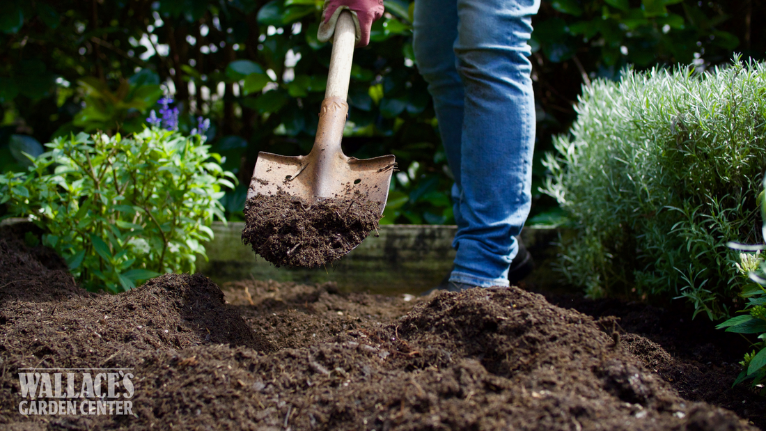 Healthy Soil, Happy Garden!