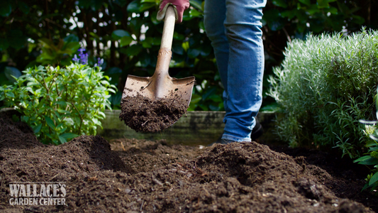 Healthy Soil, Happy Garden!