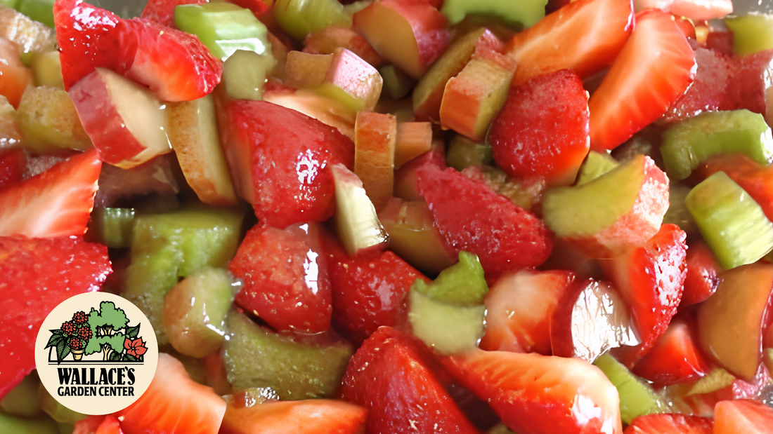 Wallaces Garden Center-Bettendorf-Iowa-Strawberry Rhubarb Flaming Fruit recipe