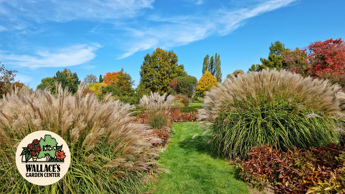 Wallaces Garden Center-Bettendorf-Iowa-The Beauty of the October Garden-Hero