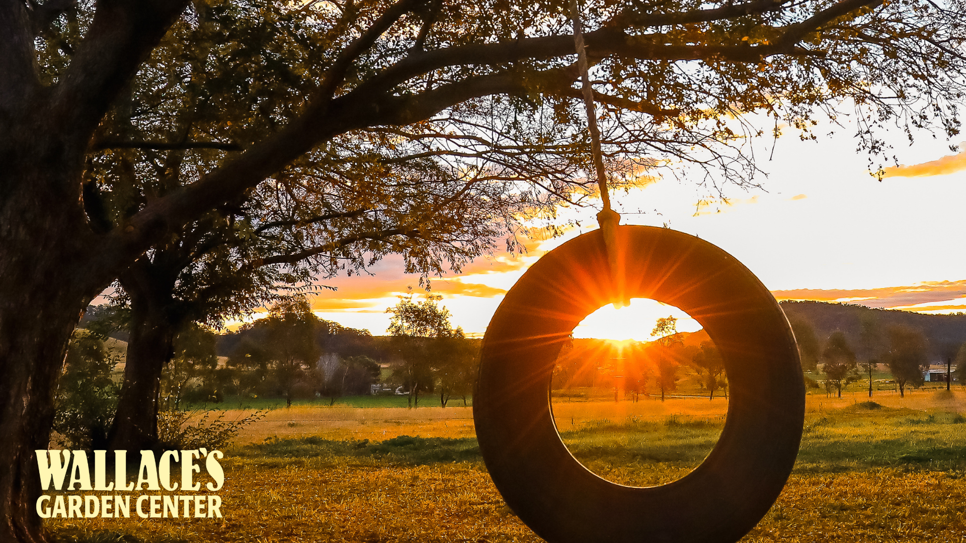 The Long-Game Garden Guide