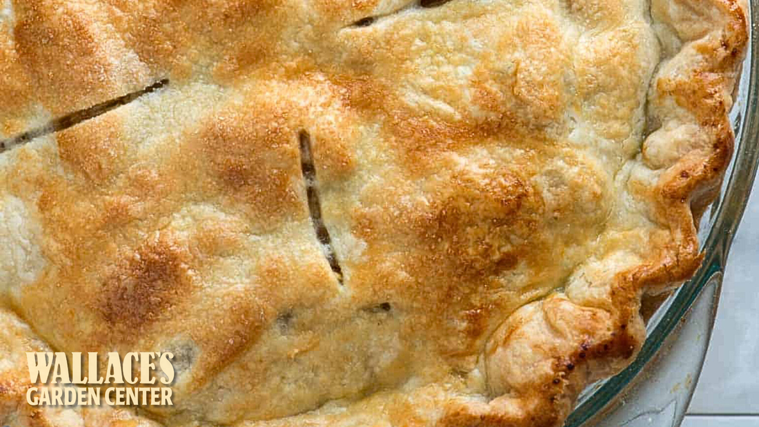 Vodka Pie Crust
