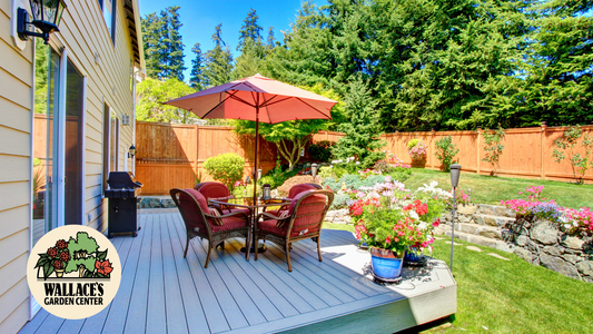 Your Blueprint for a Better Backyard