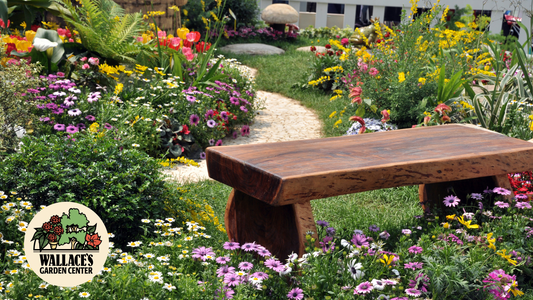 Wallaces Garden Center-Bettendorf-Iowa-Your Mid-July Garden Tune-Up Guide-Hero