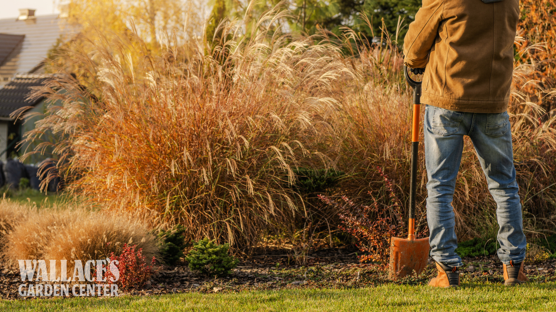 Last Call for Fall: Garden Tasks Before the Freeze