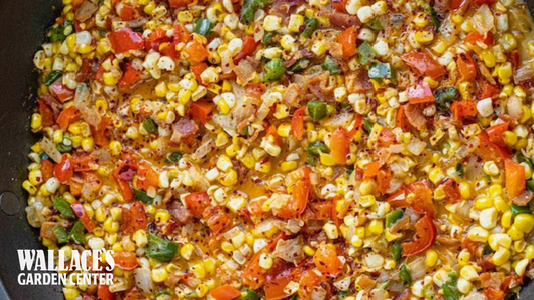 Maque Choux With Sausage