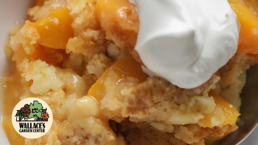 Big Peach Dessert