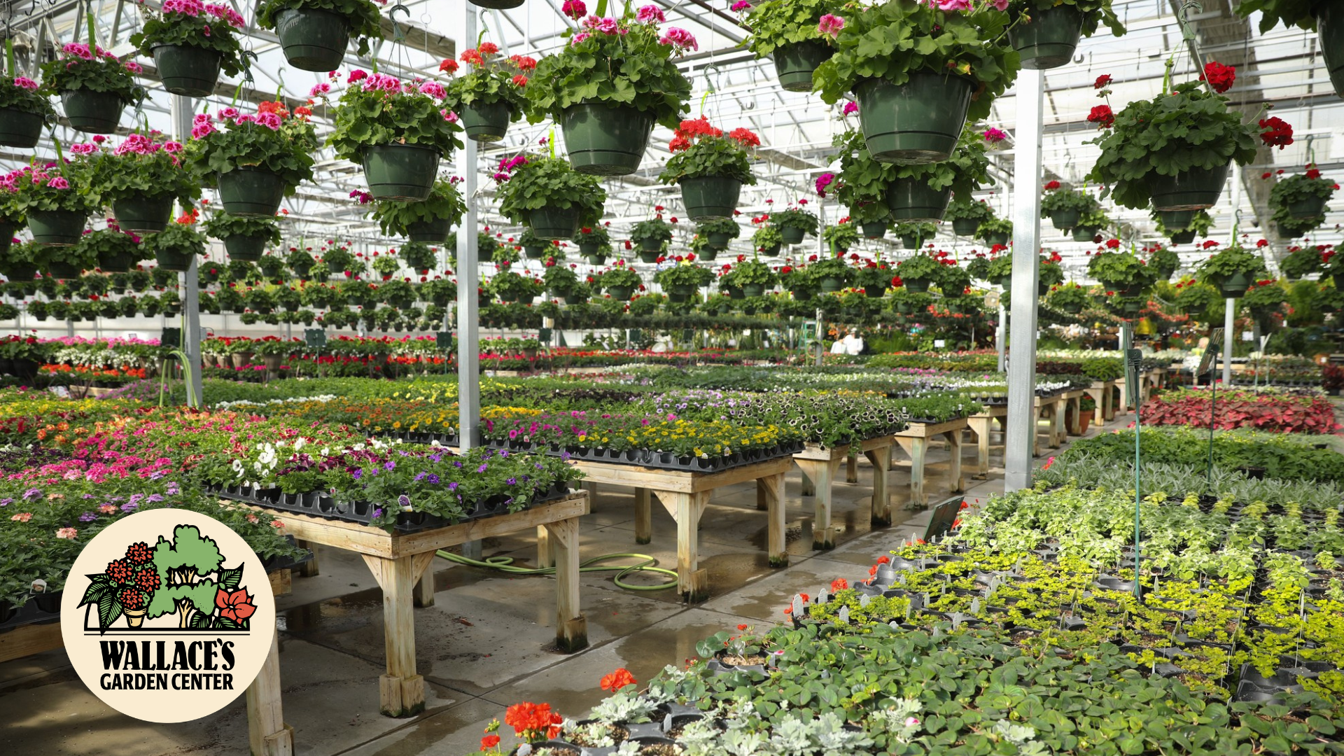 Five Common Spring Gardening Oversights